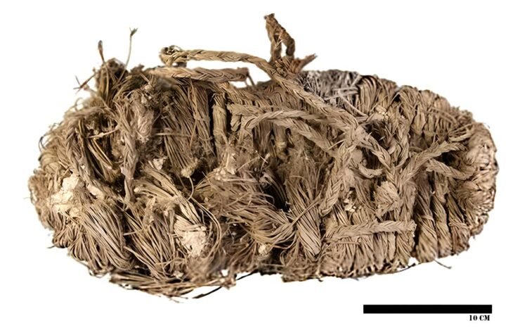 650-year-old sandal and other medieval artifacts found in centuries-old vulture nests in southern Spain