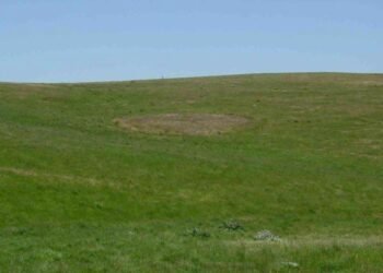 Unveiling the mystery behind Australia’s 1,400-year-old ancient earth rings