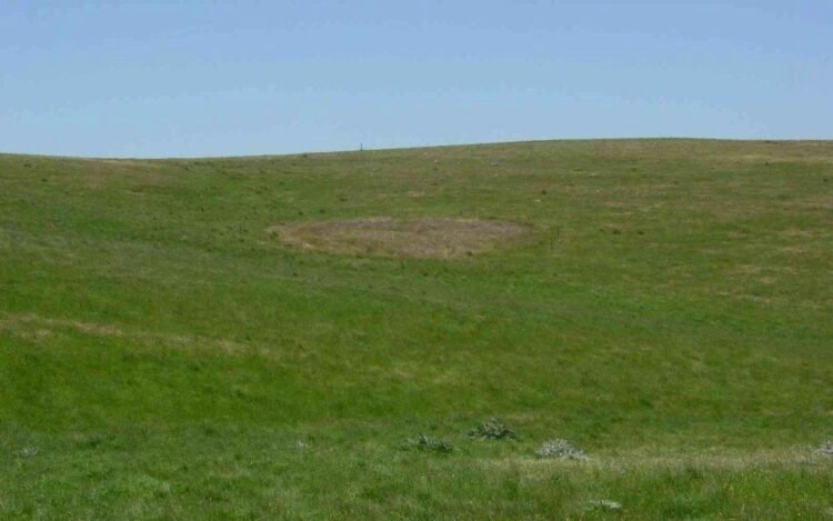 Unveiling the mystery behind Australia’s 1,400-year-old ancient earth rings