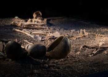 Bacterial diseases were a lethal threat during the Stone Age, study finds