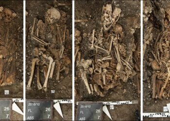 Basel plague study finds young workers had highest death rates in 17th century outbreak