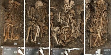 Basel plague study finds young workers had highest death rates in 17th century outbreak