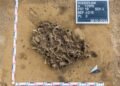 7,000-year-old beaver bone pit discovered in Germany reveals Neolithic fur hunting practices