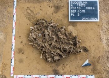 7,000-year-old beaver bone pit discovered in Germany reveals Neolithic fur hunting practices