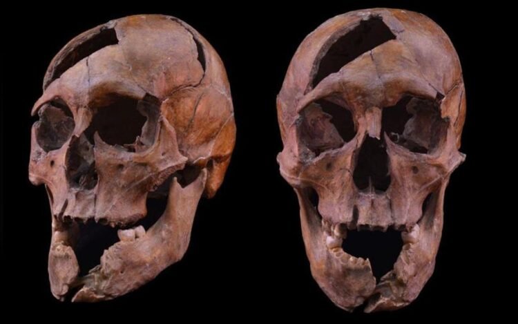 DNA confirms identity and violent death of Béla, the assassinated duke of Macsó