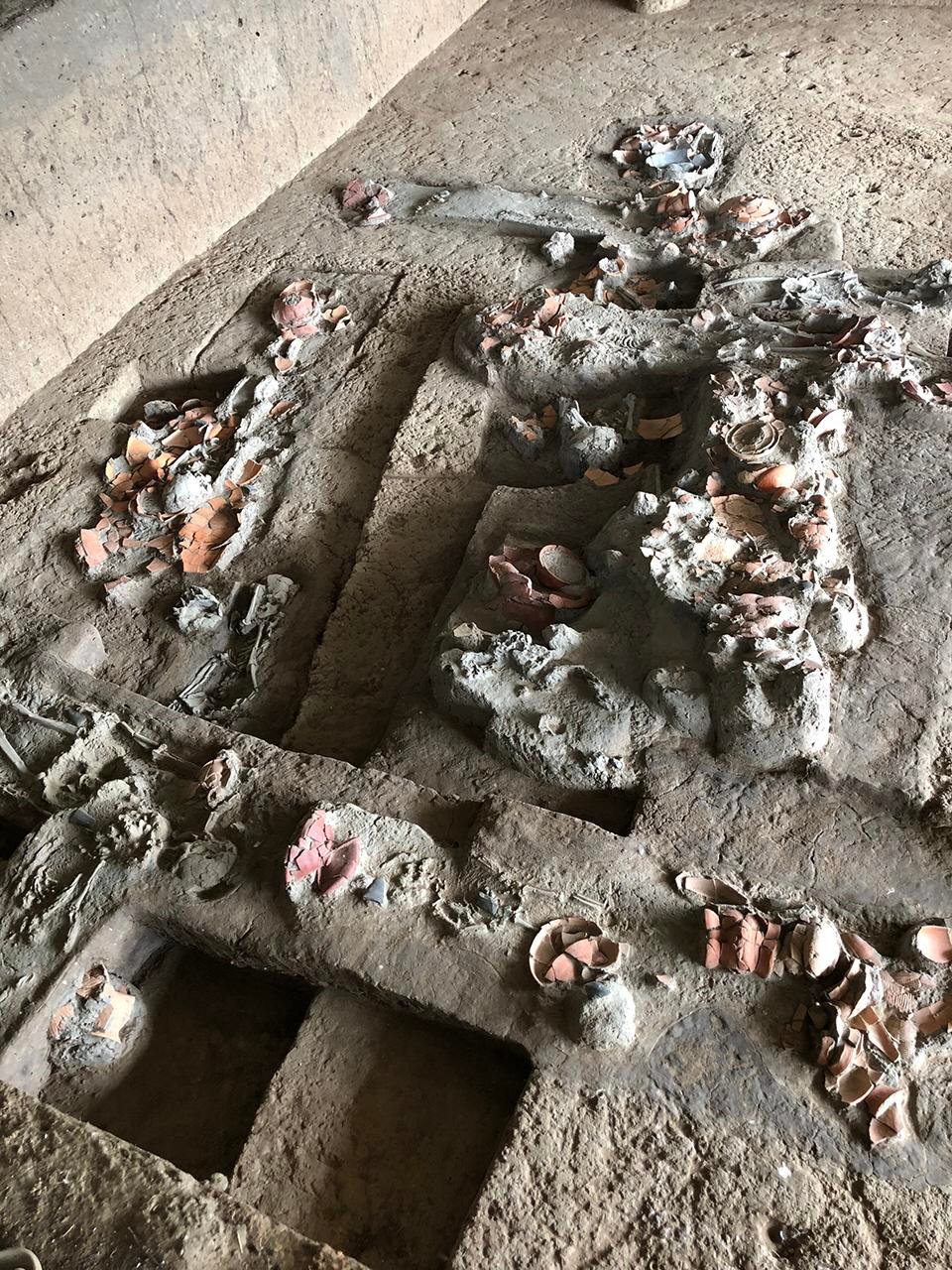 4,000-year-old teeth reveal earliest evidence of betel nut chewing in Southeast Asia