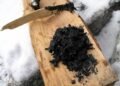 Ancient birch tar reveals how Europe’s first farmers chewed, cooked, and crafted 6,000 years ago