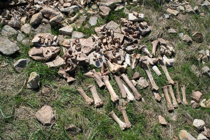 Why bison hunters abandoned a long-used site 1,100 years ago due to severe droughts