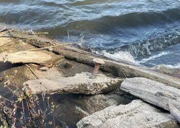 350-year-old boat from Swedish Deluge period found in Poland