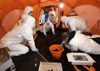 Well-preserved human remains dating back over 2,000 years unearthed in Northern Ireland bog