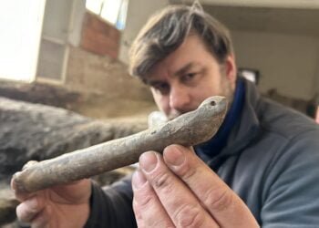 1,000-year-old bone skate discovered in Czech Republic