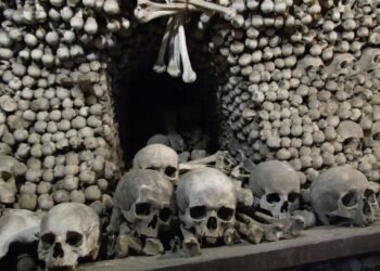 Trading human remains: Why bones should not become a commodity