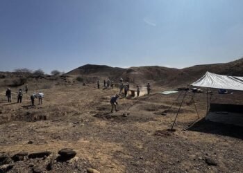 100,000-year-old Homo sapiens bones from Ethiopia may preserve earliest evidence of human cremation