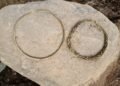 Rare Bronze Age burial in Sweden reveals unusual pair of Wendel neck rings and complex ritual landscape near Norrköping