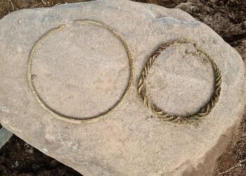 Rare Bronze Age burial in Sweden reveals unusual pair of Wendel neck rings and complex ritual landscape near Norrköping
