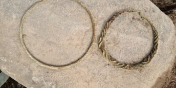 Rare Bronze Age burial in Sweden reveals unusual pair of Wendel neck rings and complex ritual landscape near Norrköping