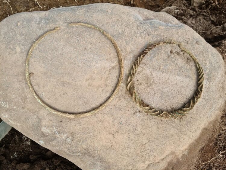 Rare Bronze Age burial in Sweden reveals unusual pair of Wendel neck rings and complex ritual landscape near Norrköping