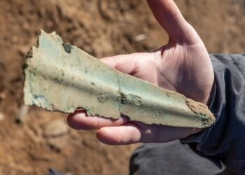 3,000-year-old Bronze Age daggers unearthed in a German cornfield