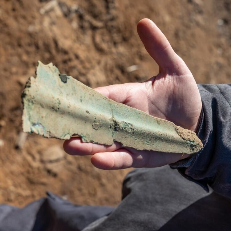 3,000-year-old Bronze Age daggers unearthed in a German cornfield
