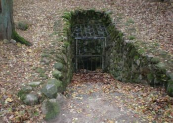 Late Bronze Age elites at Seddin reveal foreign origins and long-distance mobility across Europe