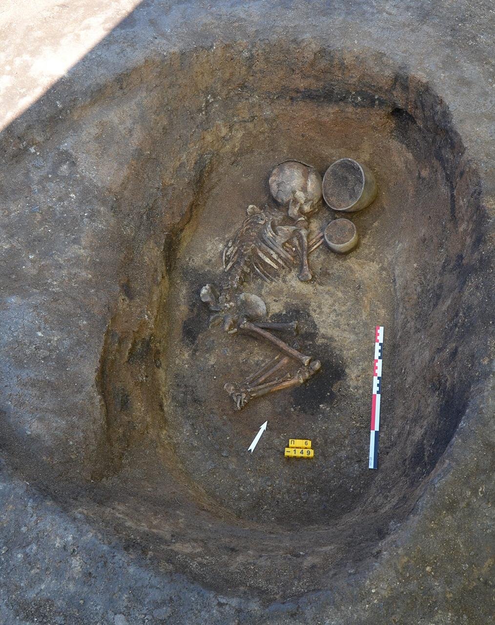 Paleogeneticists analyze 3,800-year-old extended family To interpret Bronze Age family patterns
