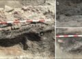 Bronze Age loom found inside ancient Spanish home reveals early textile production