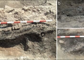 Bronze Age loom found inside ancient Spanish home reveals early textile production