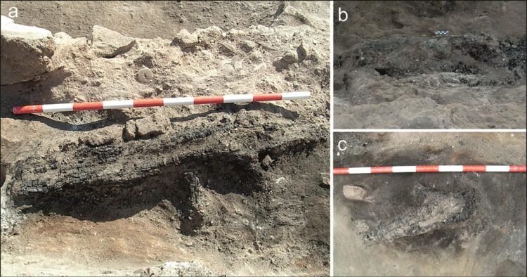 Bronze Age loom found inside ancient Spanish home reveals early textile production