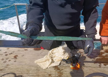 Rare Bronze Age sword found off Devon coast adds to Salcombe shipwreck story