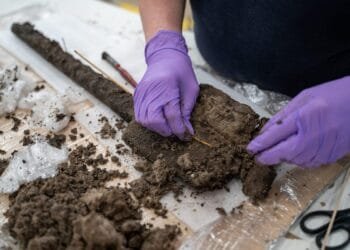 3,500-year-old Bronze Age wooden spade unearthed in Dorset, England