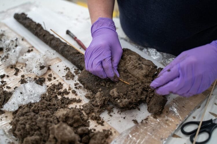 3,500-year-old Bronze Age wooden spade unearthed in Dorset, England