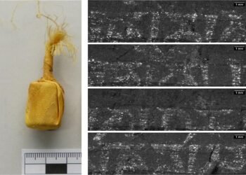 Mongolian Buddhist shrine scrolls virtually unrolled in Berlin reveal hidden Sanskrit mantra