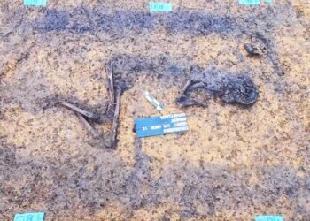 Archaeologists discover 5,300-year-old burial mound, Europe's longest, in Czechia