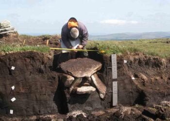 Bronze Age burial chamber discovered on Dartmoor, England