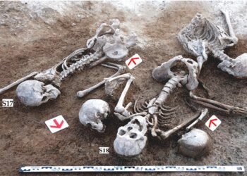 Teeth from burial pit in Mongolia trace Han soldiers in the Xiongnu war