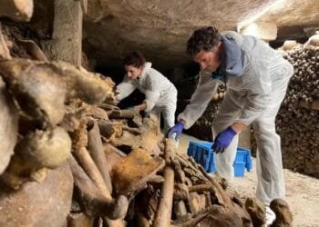 Researchers uncover health and burial secrets of 6 million people in Paris catacombs
