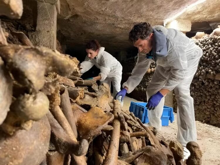 Researchers uncover health and burial secrets of 6 million people in Paris catacombs