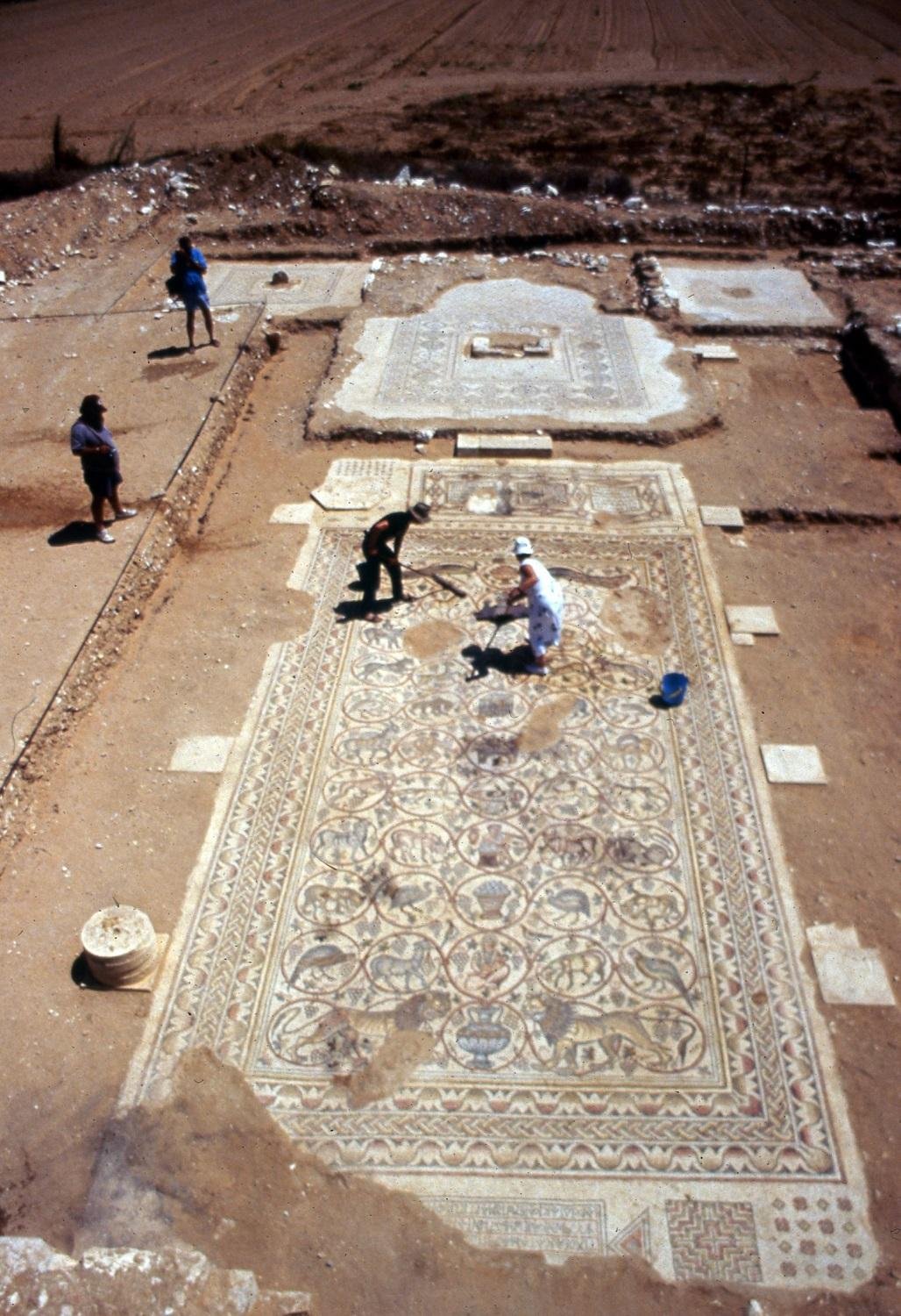 Stunning 1,600-year-old Byzantine mosaic unveiled in the Negev Desert of Israel