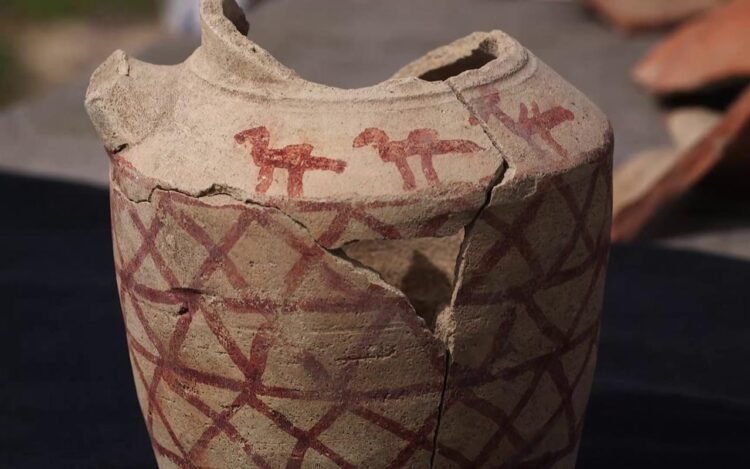 1,200-year-old camel-decorated jug unearthed in Yatir Forest