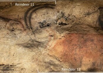 First discovery of carbon-based cave art in France's Dordogne region