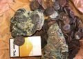 Carthaginian bronze coins seized in Norway highlight ancient trade and modern heritage challenges