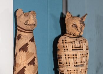 Cat domestication originated in ancient Egypt, new studies reveal