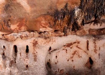Archaeologists discover largest palaeolithic cave art site in Eastern Iberia