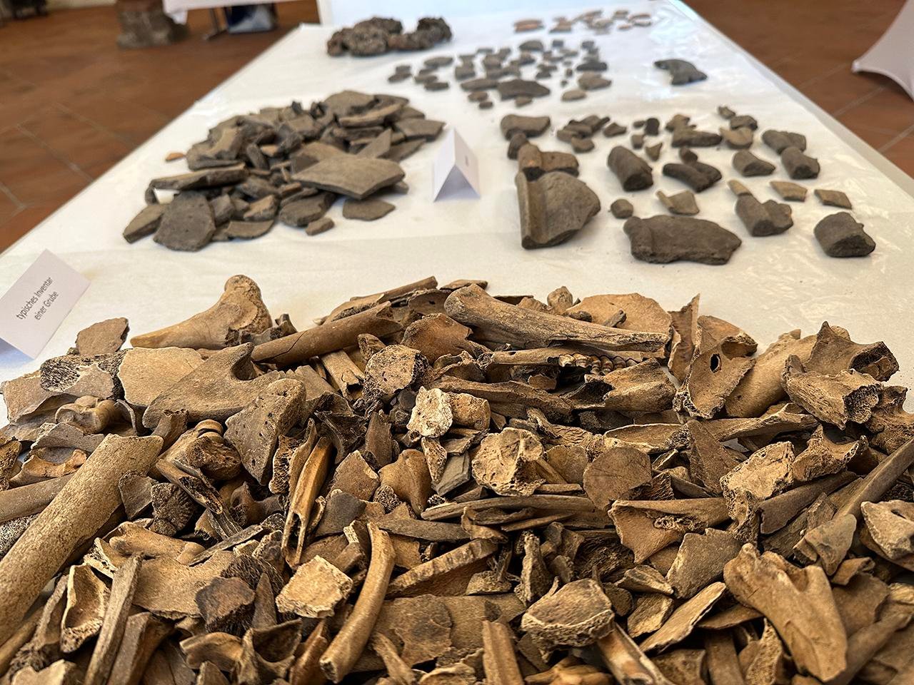 40,000 Celtic artifacts and rare bronze warrior figurine unearthed at Manching in Bavaria