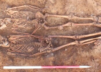 More than 140 graves found near historic Woodburn Abbey in Northern Ireland