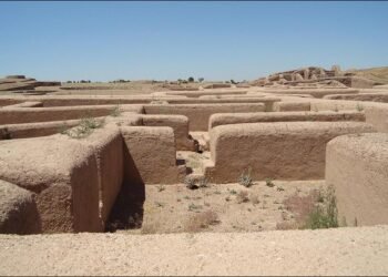 DNA analysis reveals child sacrifice and elite inbreeding in ancient Mexico