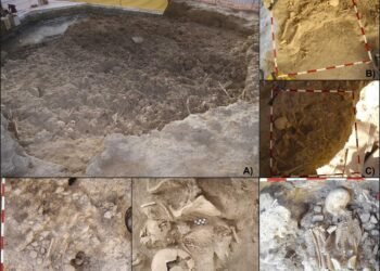 Copper Age children in Spain suffered widespread respiratory disease, skeletal study suggests