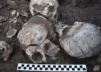 Neolithic brutality: China's largest headhunting massacre revealed