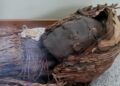 7,000-year-old Chinchorro mummies may have emerged as a form of ancient grief therapy