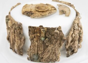 Rare 1,500-year-old Christian ivory reliquary box discovered in Austria